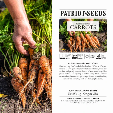 Semillas de zanahorias Patriot Seeds