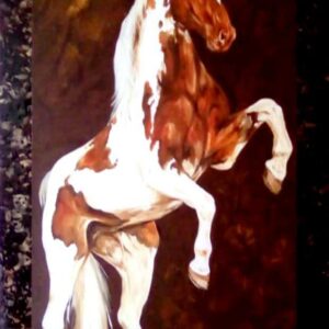 Caballo Superación
