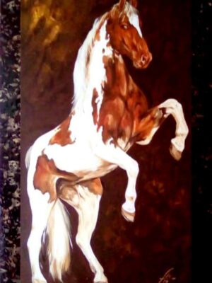Caballo Superación